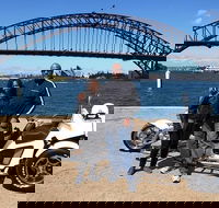 Sydney Scenic Trike or Harley Davidson Tour - Darwin Holiday