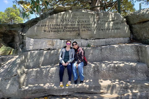 Sydney Scenic Trike Or Harley Davidson Tour - Darwin Holiday 4