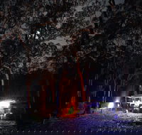 Private 5-Day 4WD Camping Trip from Sydney Including Hunter Valley Barrington Tops and Oxley Wild Rivers National Park - Darwin Holiday