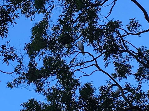 Private Blue Mountains Day Trip By 4WD From Sydney Or The Blue Mountains - Darwin Holiday 3