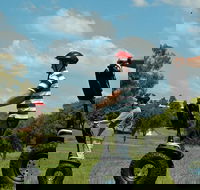 Sydney Olympic Park 60-Minute Segway Adventure Ride - Darwin Holiday