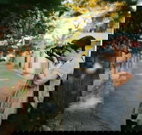 Sydney Private Street Art and Laneways Photography Walking Tour - Darwin Holiday