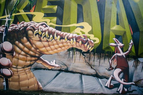 Sydney Private Street Art And Laneways Photography Walking Tour - Darwin Holiday 1