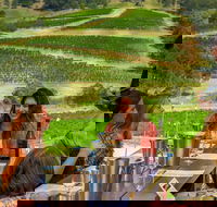 Private Luxury Tour Hunter Valley Wineries with Cheese Chocolate Gourmet Food - Darwin Holiday