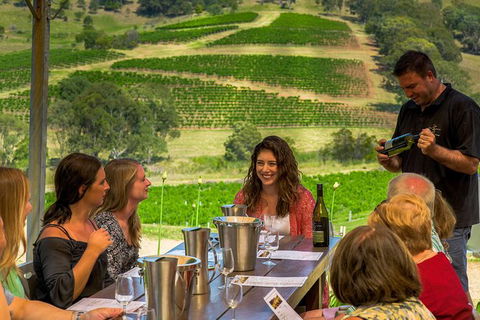 Private Luxury Tour: Hunter Valley Wineries With Cheese, Chocolate, Gourmet Food - Darwin Holiday 0