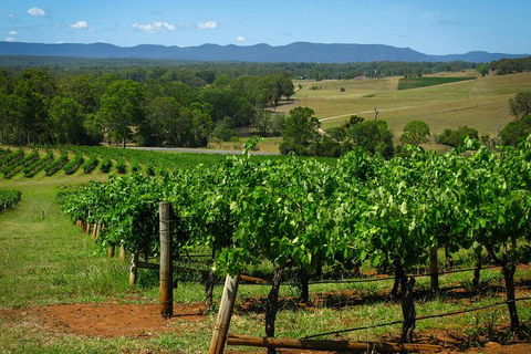 Private Luxury Tour: Hunter Valley Wineries With Cheese, Chocolate, Gourmet Food - Darwin Holiday 6