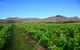 Private Luxury Tour: Hunter Valley Wineries With Cheese, Chocolate, Gourmet Food - thumb 3
