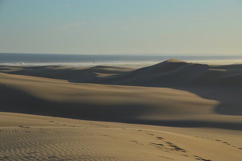 Port Stephens Bush, Beach And Sand Dune 4WD Passenger Tour - Darwin Holiday 6