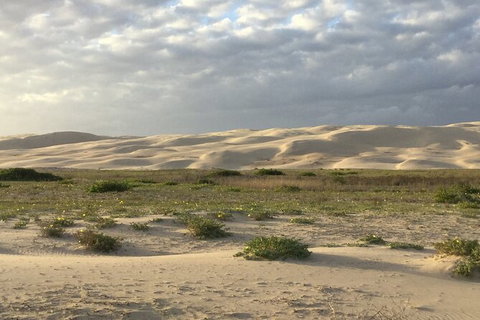 Port Stephens Bush, Beach And Sand Dune 4WD Passenger Tour - Darwin Holiday 3