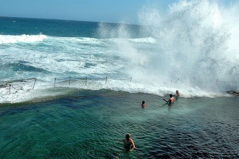 Newcastle And Central Coast Private Shore Excursion | Departs Newcastle Port - Darwin Holiday 9