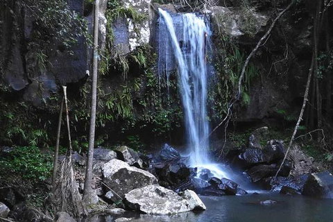 Personal, Private Chauffeur Driven Guided Tours - Darwin Holiday 1