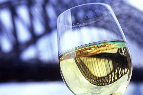 Water Limousines Sparking Wine Sunset Cruise Sydney Harbour - Darwin Holiday 0