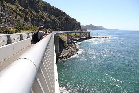 Private Sydney South Coast To The Southern Highlands Tour - Darwin Holiday 2