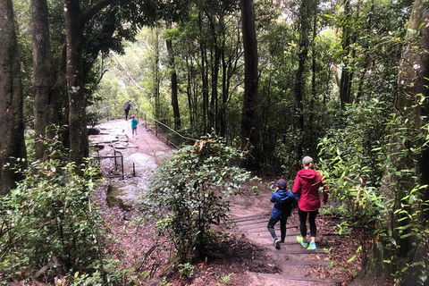 Private Guided Tour From Sydney To Blue Mountains National Park - Darwin Holiday 7