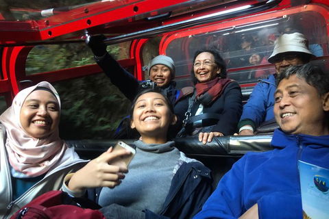 Private Guided Tour From Sydney To Blue Mountains National Park - Darwin Holiday 4