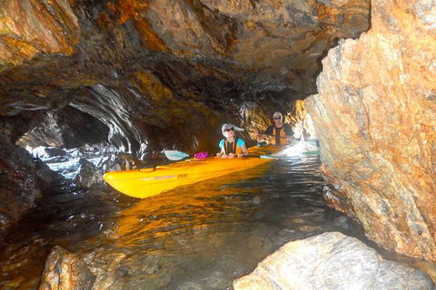 Whale Watching By Sea Kayak In Batemans Bay - Darwin Holiday 4