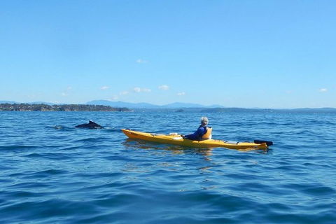 Whale Watching By Sea Kayak In Batemans Bay - Darwin Holiday 2