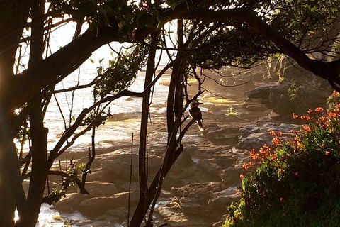 Private Luxury Quintessential Sydney Day Tour - Darwin Holiday 3