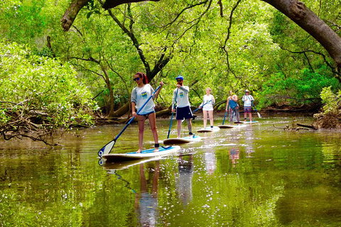 Byron Stand Up Paddle Nature Tour - Darwin Holiday 2