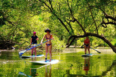 Byron Stand Up Paddle Nature Tour - Darwin Holiday 4