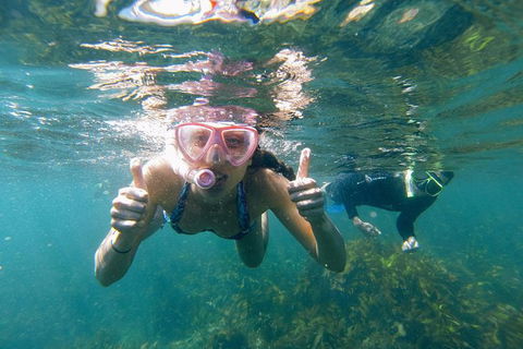 Manly Snorkel Trip And Nature Walk With Local Guide - Darwin Holiday 0