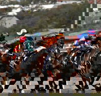 Sydney Harbour Melbourne Cup Cruise - Darwin Holiday