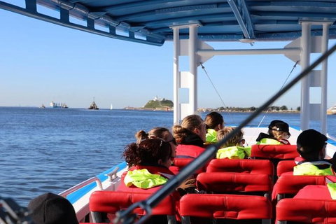 Hunter Coastal Adventure Tour By Boat From Newcastle - Darwin Holiday 4