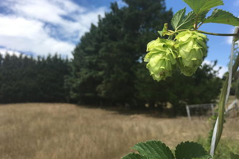 Southern Highlands Craft Beer Brewery Tour From Sydney - Darwin Holiday 1