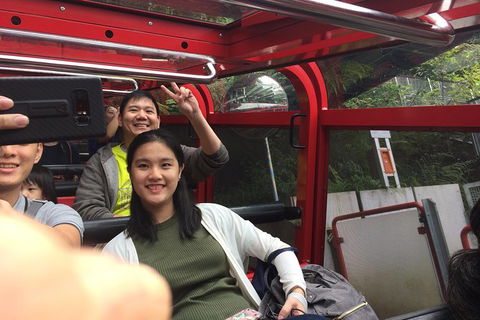 All-Day Blue Mountains Private Tour With Professional Guide For Up To 4 People - Darwin Holiday 15