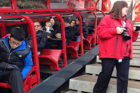 All-Day Blue Mountains Private Tour With Professional Guide For Up To 4 People - Darwin Holiday 8