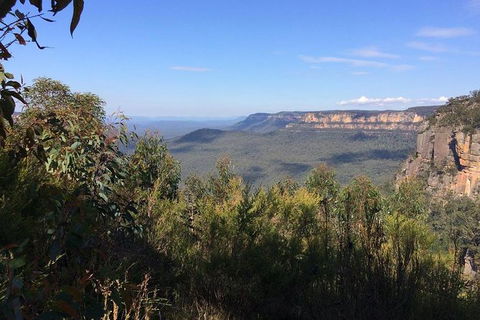 All-Day Blue Mountains Private Tour With Professional Guide For Up To 4 People - Darwin Holiday 4