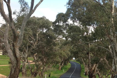 All-Day Blue Mountains Private Tour With Professional Guide For Up To 4 People - Darwin Holiday 22