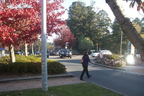 All-Day Blue Mountains Private Tour With Professional Guide For Up To 4 People - Darwin Holiday 12