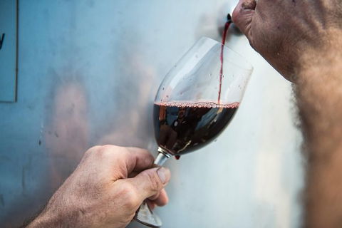 Urban Winery Sydney: Winery Tour And Tasting - Darwin Holiday 5