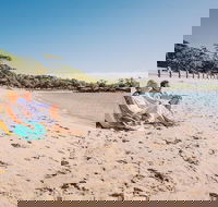 Sydney Shore Excursion Half-Day Sydney City Highlights with Bondi Beach and Watsons Bay - Darwin Holiday