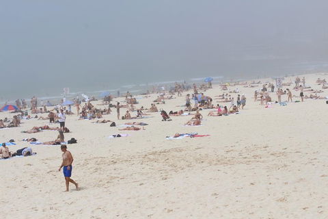 Sydney Shore Excursion: Half-Day Sydney City Highlights With Bondi Beach And Watsons Bay - Darwin Holiday 3