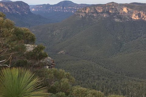 Inside The Greater Blue Mountains World Heritage - A Wildlife Safari Overnight - Darwin Holiday 25