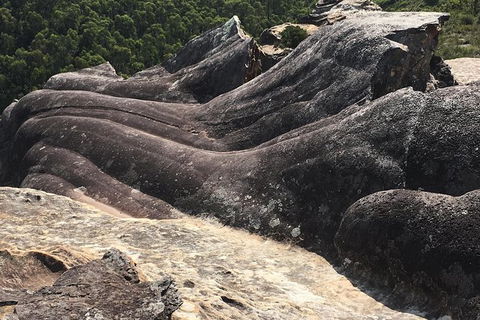 Inside The Greater Blue Mountains World Heritage - A Wildlife Safari Overnight - Darwin Holiday 17
