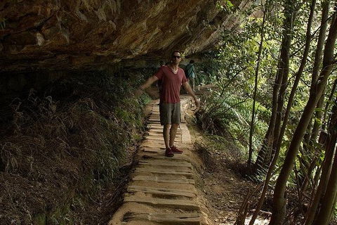 Inside The Greater Blue Mountains World Heritage - A Wildlife Safari Overnight - Darwin Holiday 26