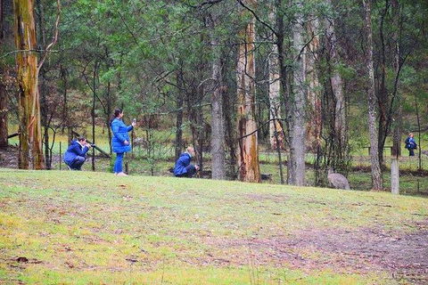 Inside The Greater Blue Mountains World Heritage - A Wildlife Safari Overnight - Darwin Holiday 4