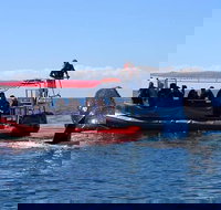 Byron Bay Whale Watching Cruise - Darwin Holiday