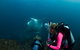 5-Hour Byron Bay Introductory Scuba Diving Tour - thumb 0