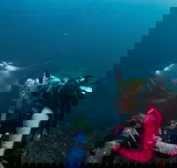 5-Hour Byron Bay Introductory Scuba Diving Tour - Darwin Holiday