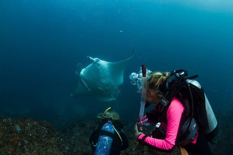 5-Hour Byron Bay Introductory Scuba Diving Tour - Darwin Holiday 0