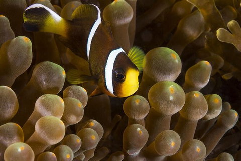 5-Hour Byron Bay Introductory Scuba Diving Tour - Darwin Holiday 3