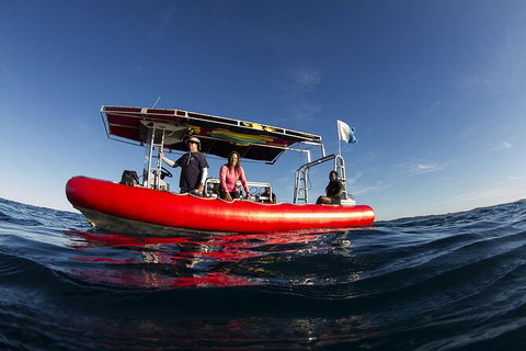 5-Hour Byron Bay Introductory Scuba Diving Tour - Darwin Holiday 10