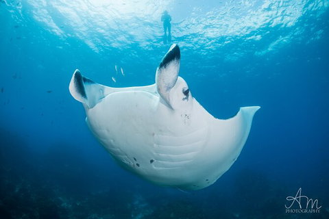 5-Hour Byron Bay Introductory Scuba Diving Tour - Darwin Holiday 8