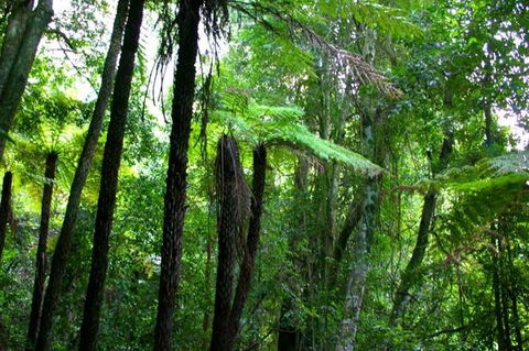 Private Tour: Blue Mountains Day Trip From Sydney - Darwin Holiday 3