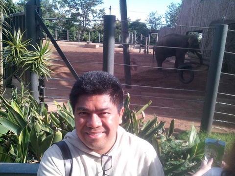 Sydney Attraction Pass Including Taronga Zoo, Sydney Opera House, SEA LIFE Sydney Aquarium - Darwin Holiday 18