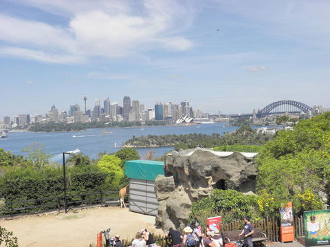 Sydney Attraction Pass Including Taronga Zoo, Sydney Opera House, SEA LIFE Sydney Aquarium - Darwin Holiday 6